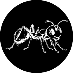 Antscoin logo