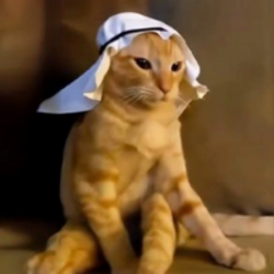 Arab cat logo