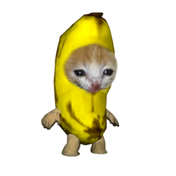 banana cat logo