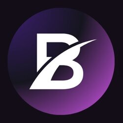 BTSLR logo