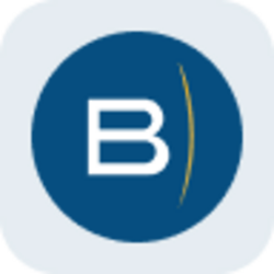 BlackSky Technology Tokenized Stock (Reality) logo