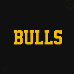 Bulls logo