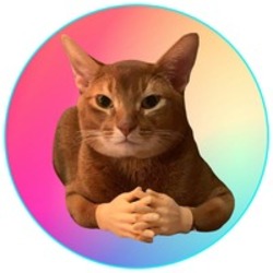 Cat Wif Hands logo