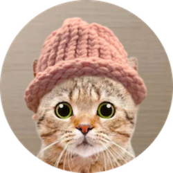 CatWifHat logo