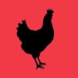 chikn feed logo