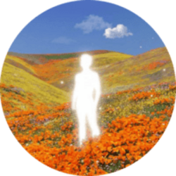 CLARITY logo
