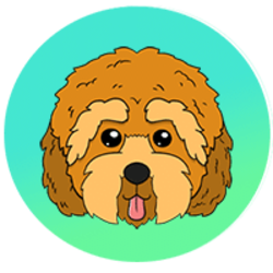 CPOO logo