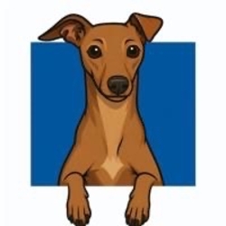 Cosmo logo
