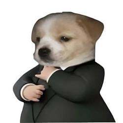 Dog in a suit logo