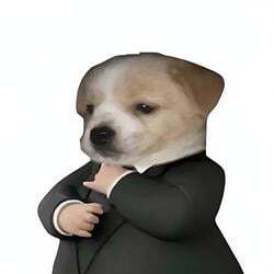 Dog In A Suit logo
