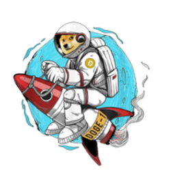 Doge-1 Mission to the moon logo