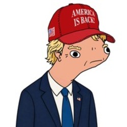 Dunald Tromp logo