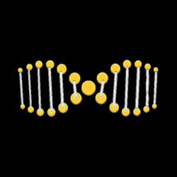 extraDNA logo