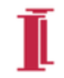 Insula logo