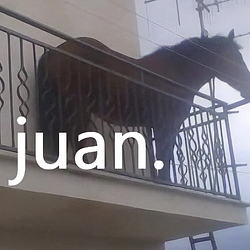 juan logo