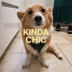 Kinda Chic logo