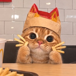 MCCAT logo
