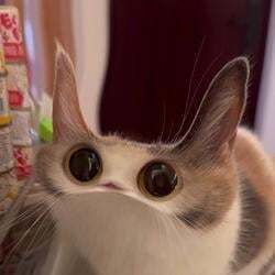 MEEP CAT logo