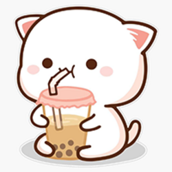 MOCHICAT logo