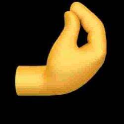 🤌 (Money Sign) logo