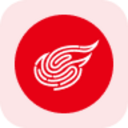 NetEase Tokenized Stock (Reality) logo