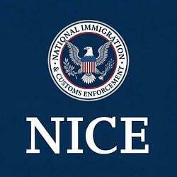 NICE logo