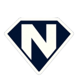 Nova Fox logo