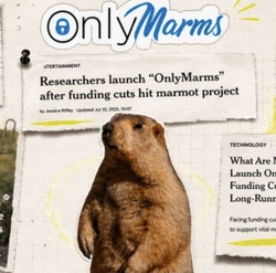 ONLYMARMS logo