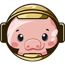 PIG logo