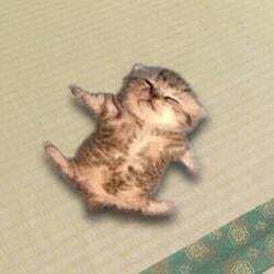 relaxed cat logo
