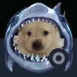 sharkdog logo