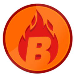BURN logo