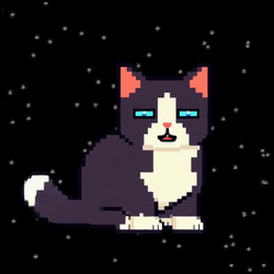 Spacecat logo