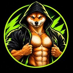 Super Shiba logo