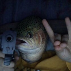 The Big Trout logo