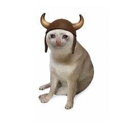 The Bull Cat logo
