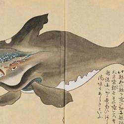 The Japanese Whale logo