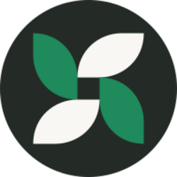 SPRING logo