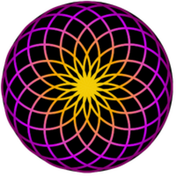 TORUS logo