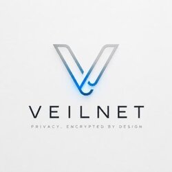 Veilnet logo
